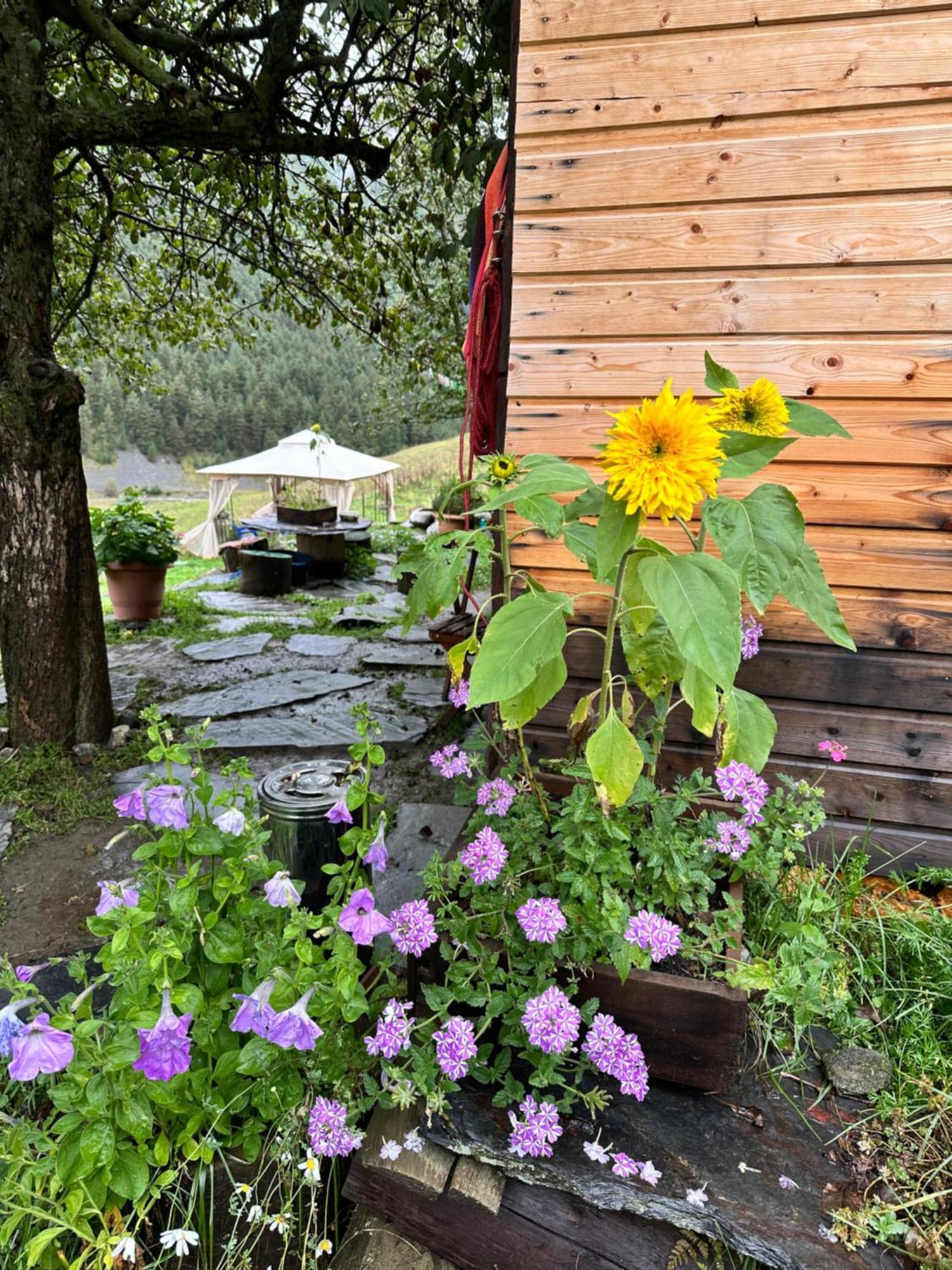 Hotel Pirikiti Akhmeta Zewnętrze zdjęcie