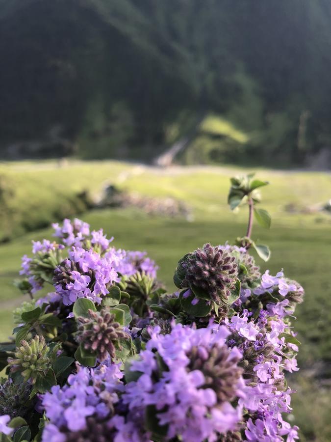 Hotel Pirikiti Akhmeta Zewnętrze zdjęcie